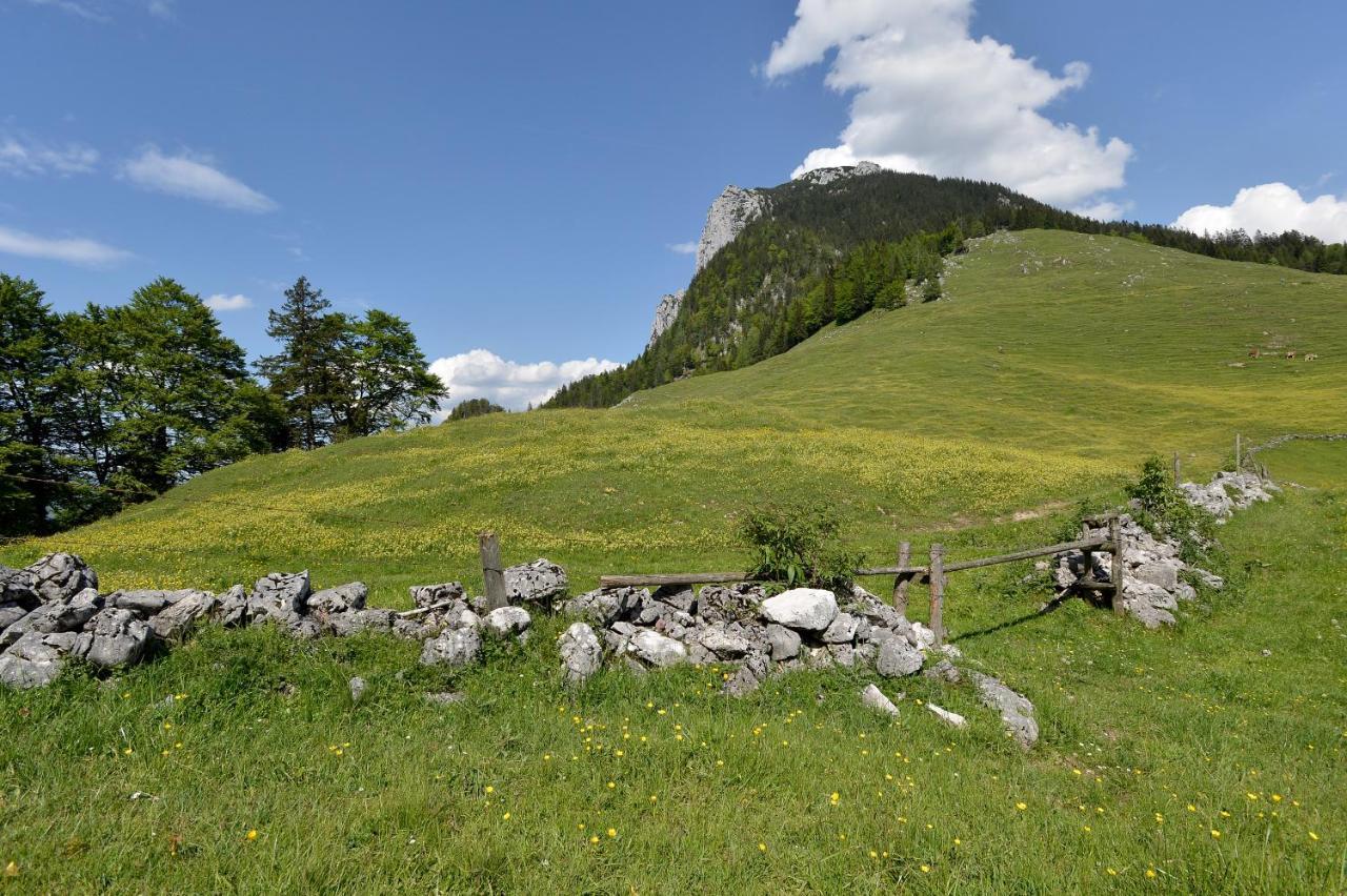 Ritzau Alm 호텔 에브스 외부 사진